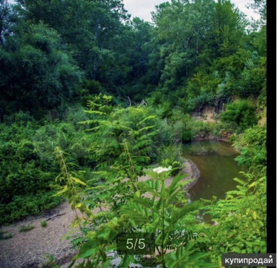 Участок 43 га (СНТ, ДНП)