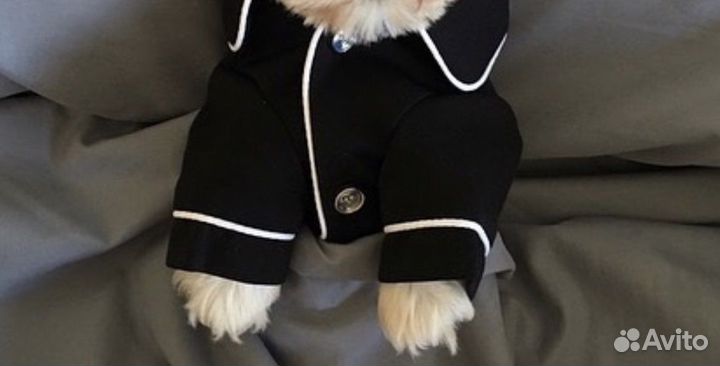 Одежда для собак