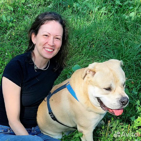 Кинолог зоопсихолог