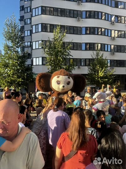 Аниматор на ваш праздник