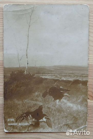 Весною, Антикаарная открытка, плохое состояние