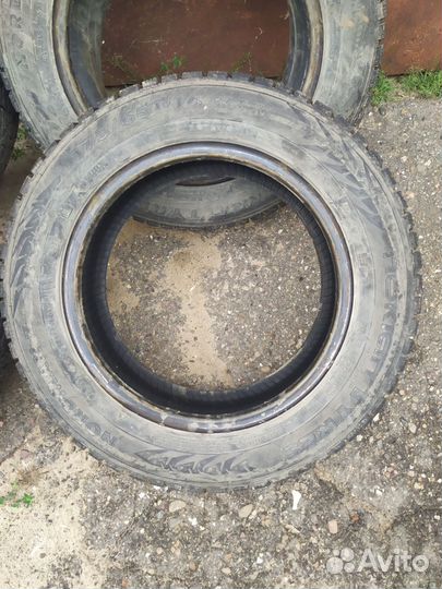 Nokian Tyres Nordman 7 175/65 R14 86T