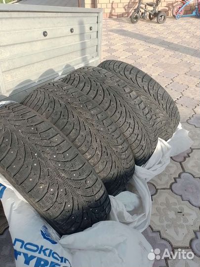 Pirelli P Zero Winter 185/65 R15