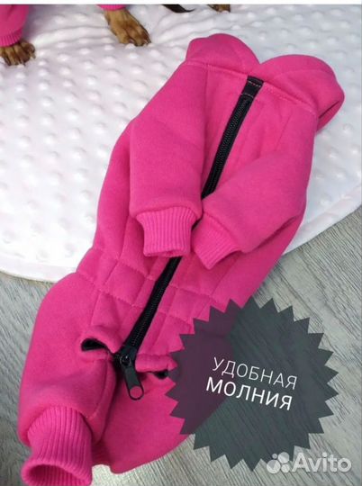 Комбинезон для маленькой собаки