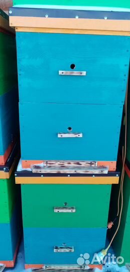 Улей для пчёл Дадан двухкорпусной на 12 рамок