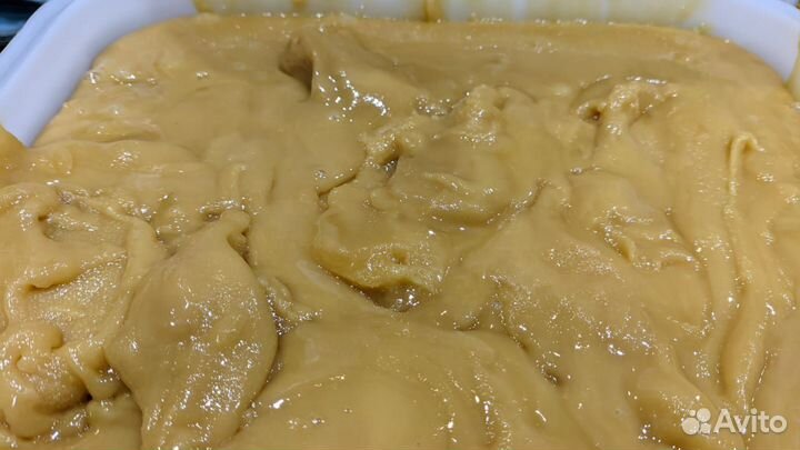 Мед таежный