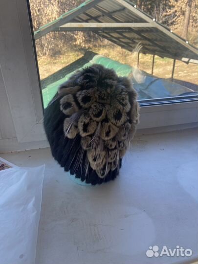 Шапка норковая