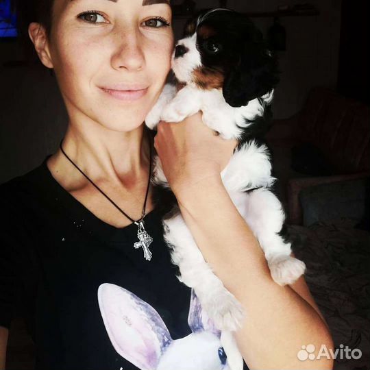 Передержка домашних животных