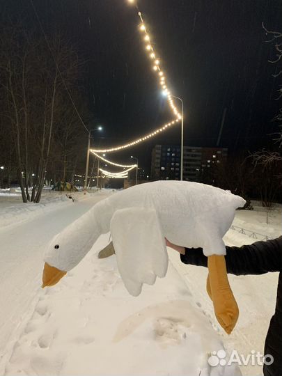 Гусь обнимусь