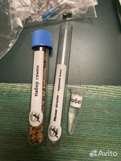 Муравьиная ферма без муравьев