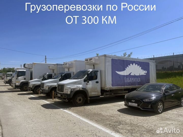 Грузоперевозки межгород 1-20 тонн от 300км