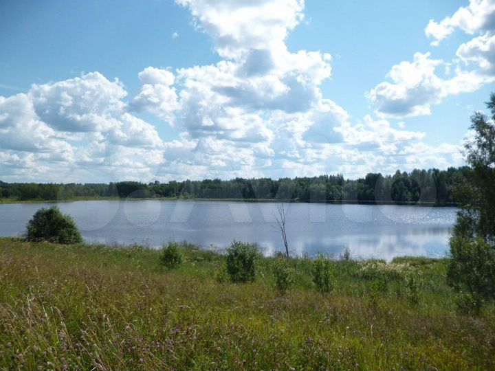 Участок 4,26 га (СНТ, ДНП)