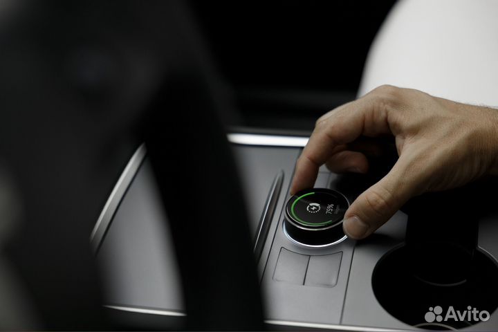 Шайба управления tesla S3XY Knob