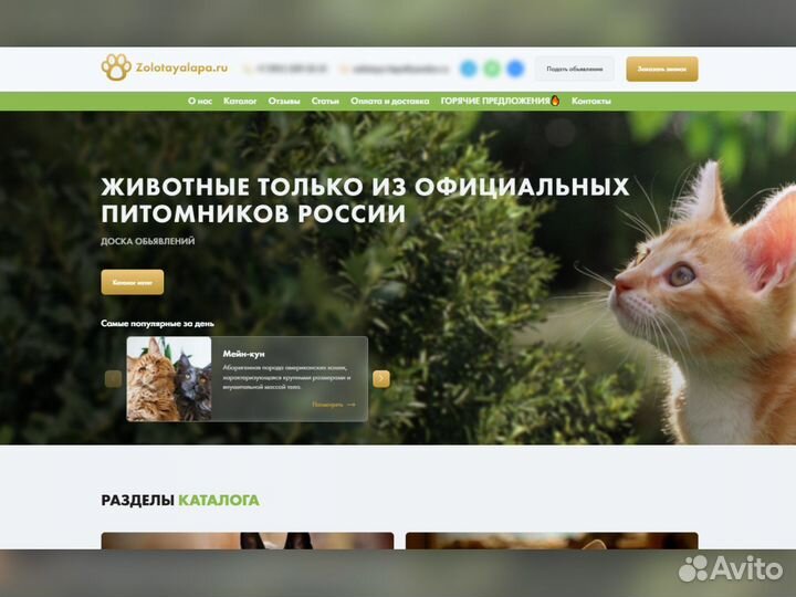 Создание сайтов. Продвижение и реклама сайтов