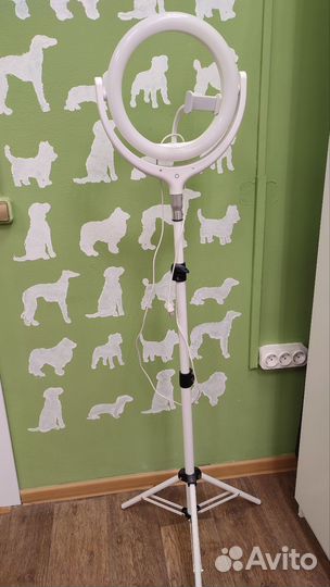 Кольцевая лампа со штативом бу