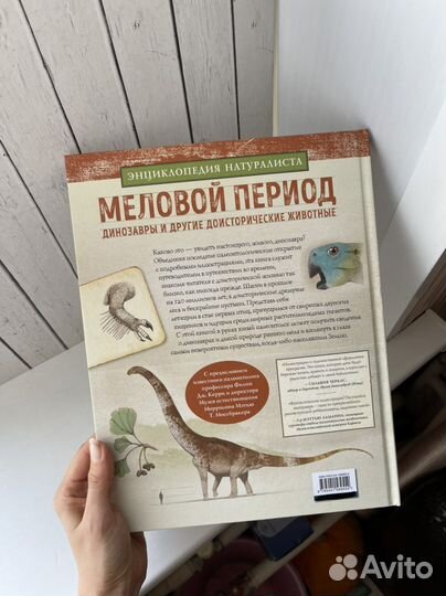 Книга Меловой период. Динозавры
