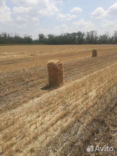 Солома в тюках