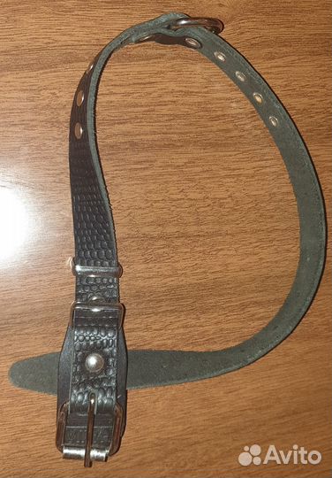 Продам ошейник и намордник для собак крупных пород