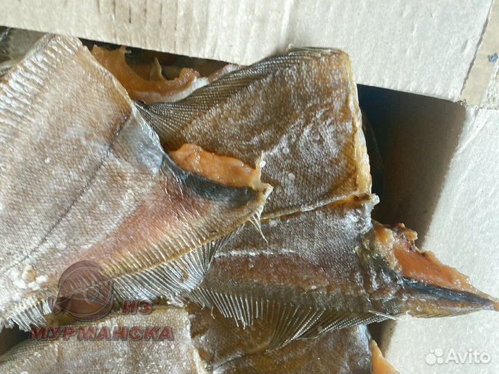 Ерш Мурманский