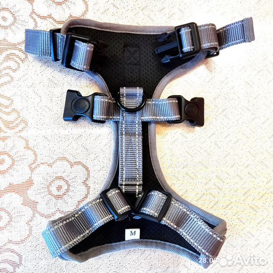 Ошейник, шлейка и намордник новые