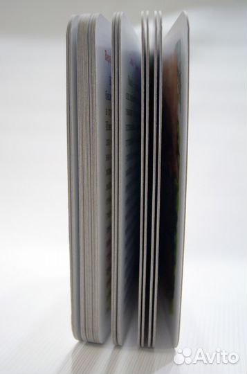 Семья Шалаева Г, книга на картоне