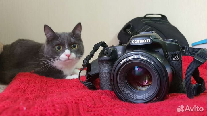 Зеркальный фотоаппарат Canon EOS 40d body