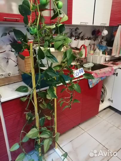 Цветок с подставкой длиною - 3 метра +