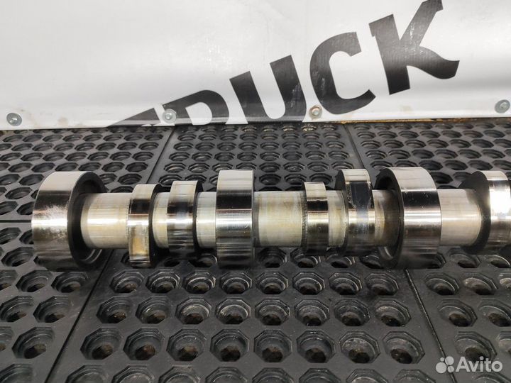 Распредвал 2018г. Daf XF106