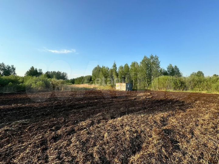 Участок 10,5 сот. (СНТ, ДНП)