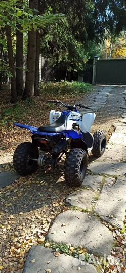 Yamaha Raptor 90