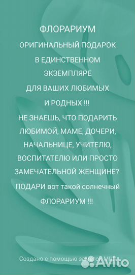 Флорариум суккуленты