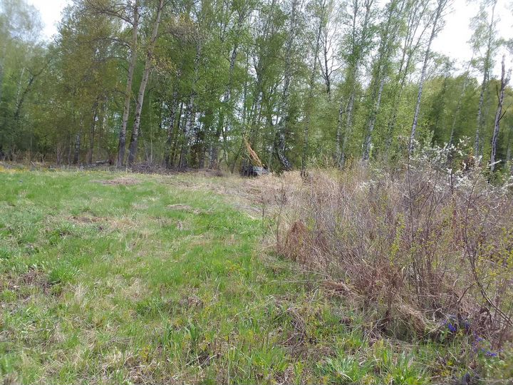 Участок 9,1 сот. (СНТ, ДНП)