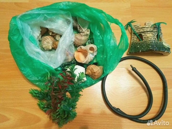 Два аквариума