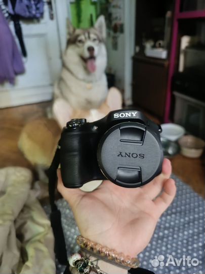 Фотоаппарат sony cyber-shot DSC-H300