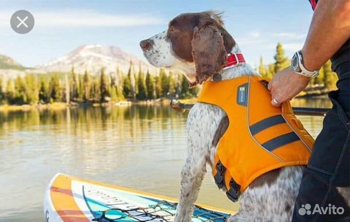 Спасательный жилет для собак