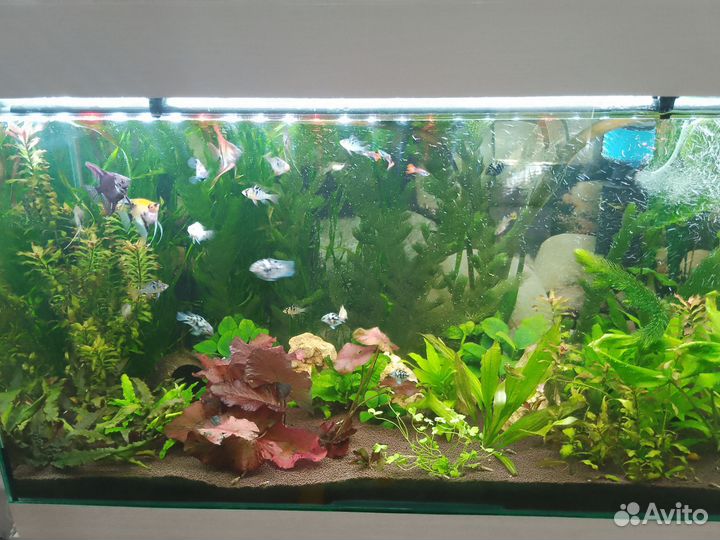 Украшение для аквариума