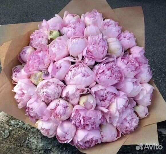 Пионы 24/7 Букеты Доставка