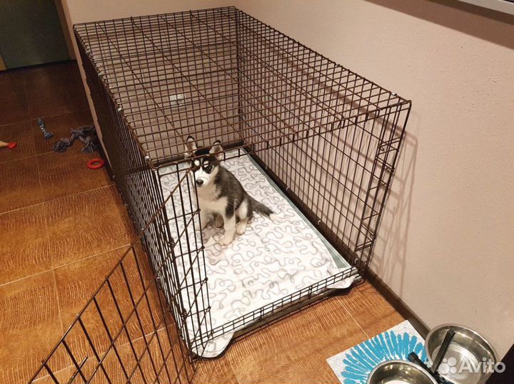 Клетка №6 для собак