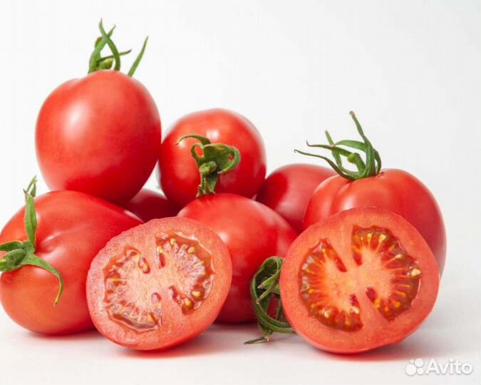 Семена Томата 