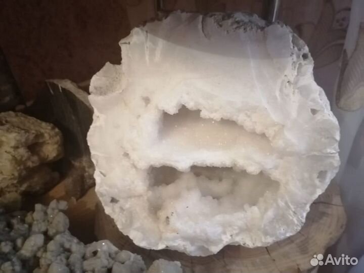 Аммониты Горный хрусталь Септарии Окаменелости