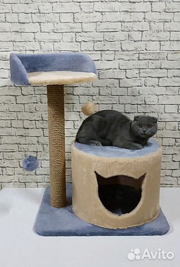 Когтеточка с домиком для кошек Луиза