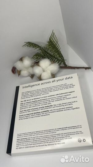 SQL Server 2019 Standart 10 CLT