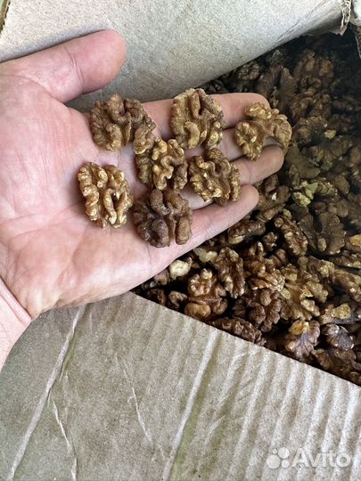 Грецкий орех 1 сорт бабочка этого года