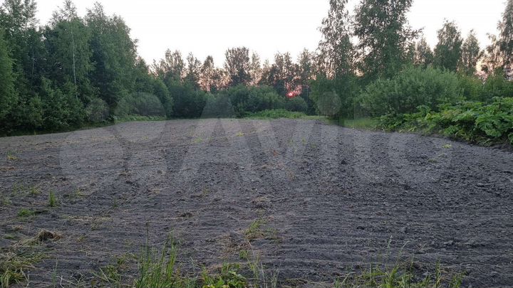 Участок 20 сот. (СНТ, ДНП)