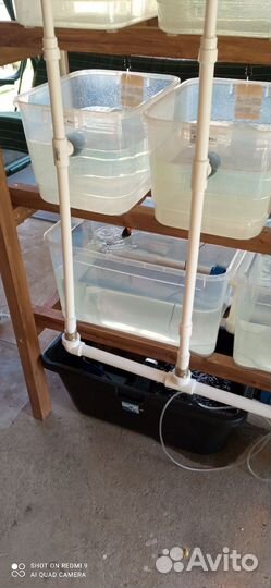 Маточник с малешником для креветок или раков аккр