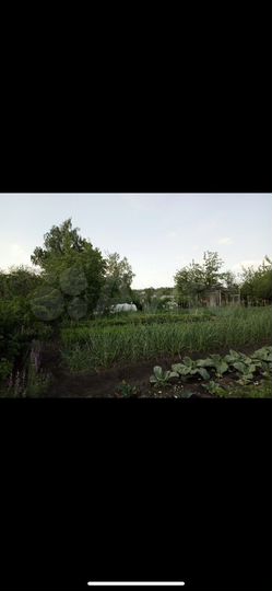 Участок 6 сот. (СНТ, ДНП)