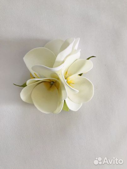 Гавайский цветок