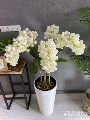 Искусственные растения