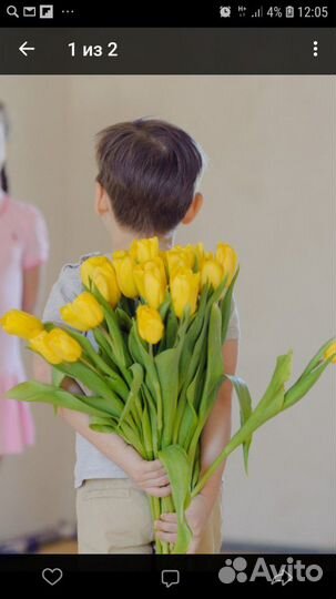 Фотограф для туристов Казани