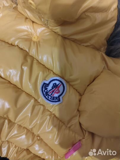 Куртка для собак мелких пород